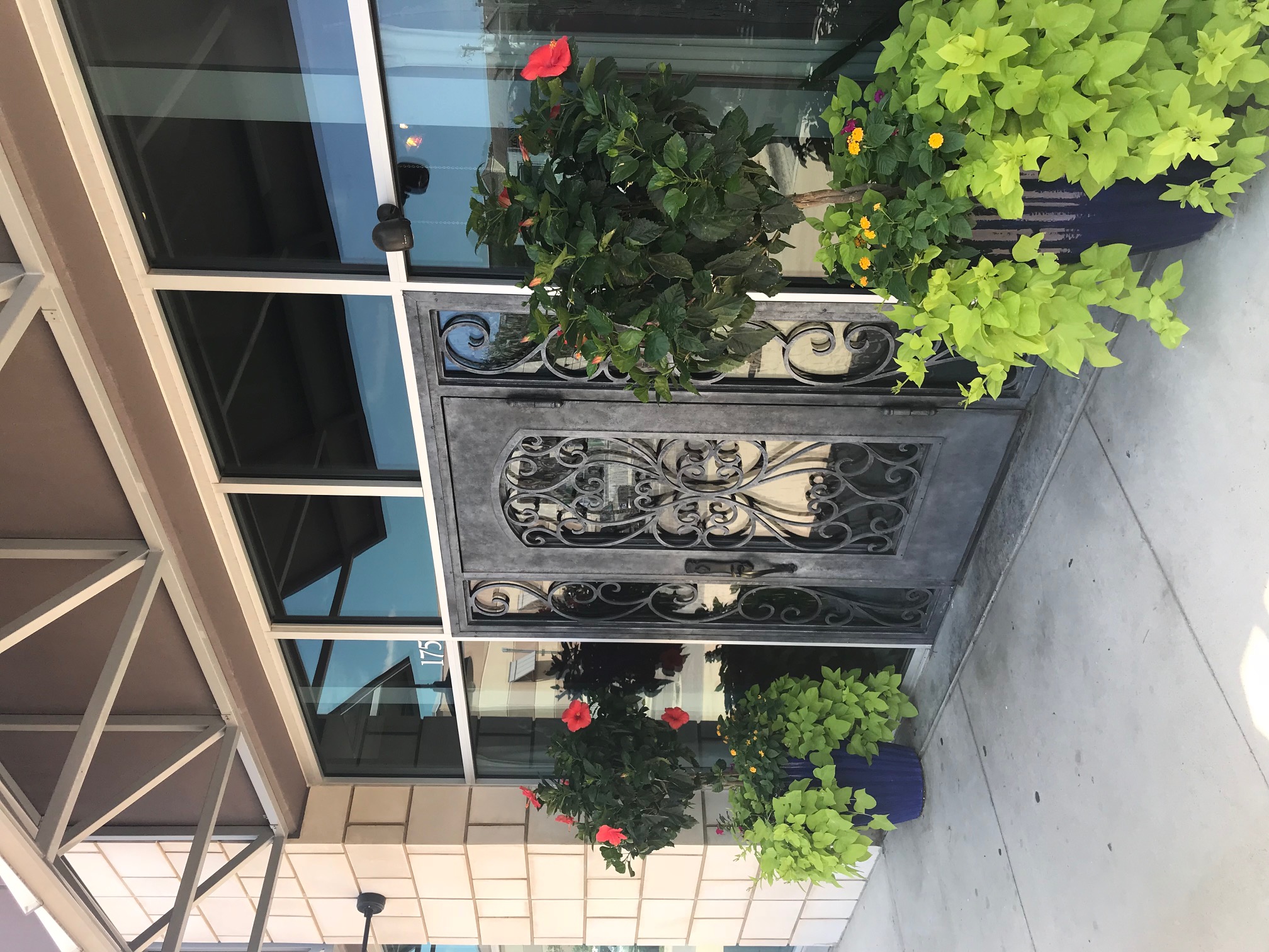 The Village Salons entrance with plants and front door